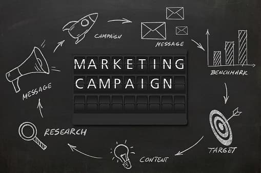 Digital Marketing Campaign & Brand Growth